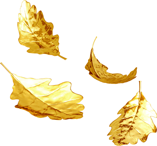 金叶子图片大全_金叶子图片素材【png免费下载】-90设计网
