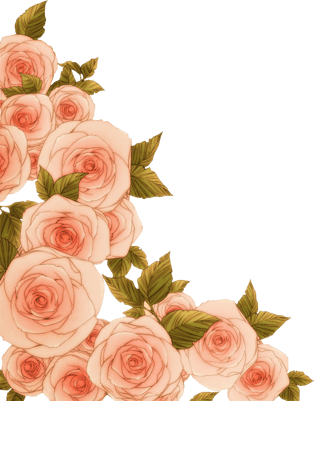 蔷薇花装饰元素