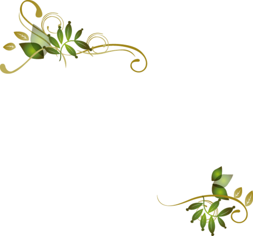 边缘素材图片大全