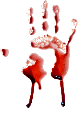 血效果图片大全