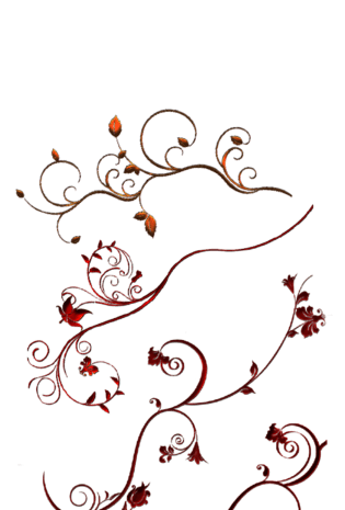 欧式花纹装饰pngpsd2000*2000森系小清新立体叶子藤蔓分割线花边矢量