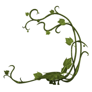 缠绕的藤蔓图片大全