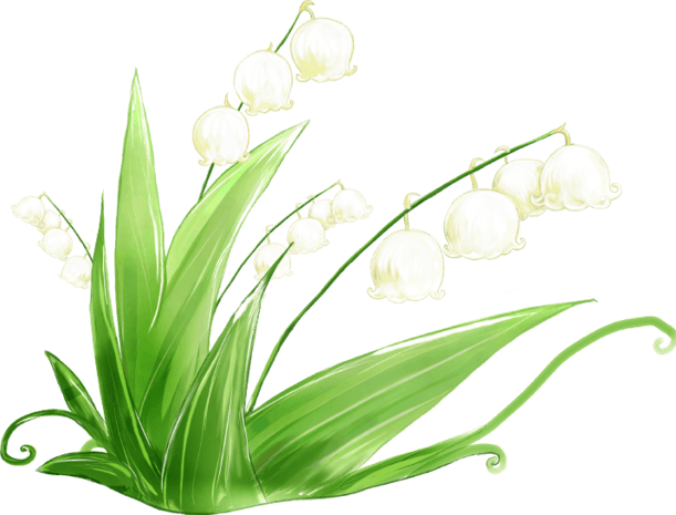 手绘精美的白色铃铛花