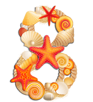 沙滩贝壳组合数字8