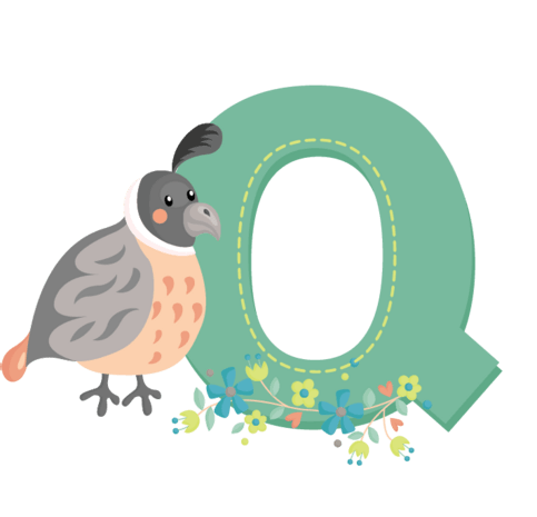 字母qpngpsd2000*2000彩色贴纸可爱标签英文字母qpngpsd2000*2000波