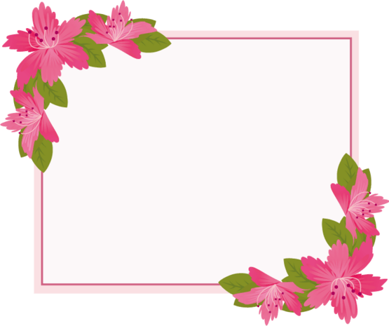 矩形边框图片大全