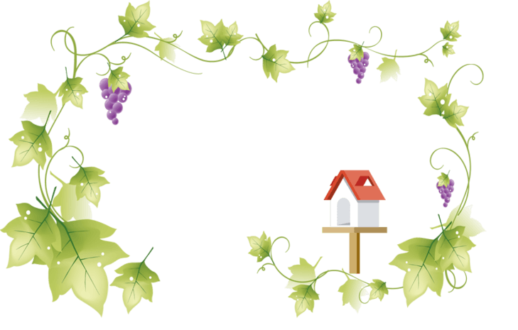 可爱葡萄图片大全