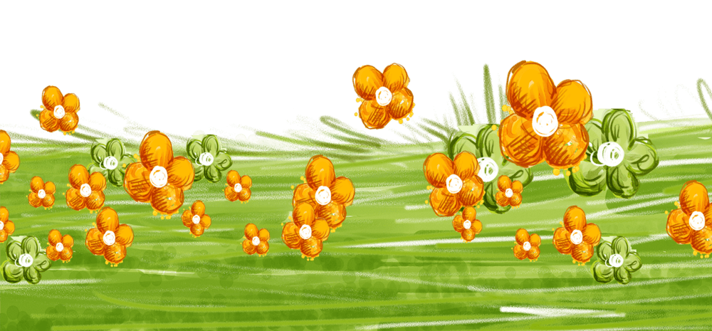 花卉草地图片大全