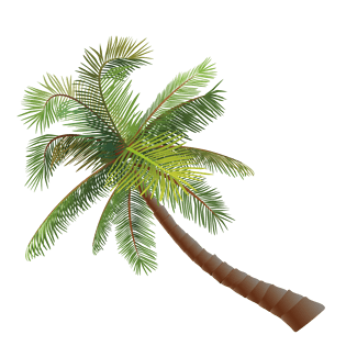 海南椰子树头像图片