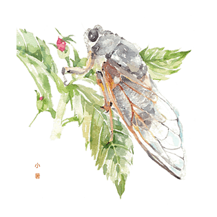 插画pngpsd2000*2000水彩绘可爱兔子pngpsd2000*2000清新印花小鹿墙纸