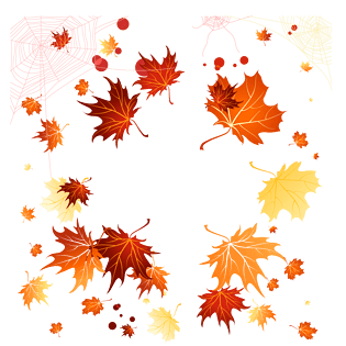 枫叶背景图片大全 枫叶背景图片素材 Png免费下载 90设计网