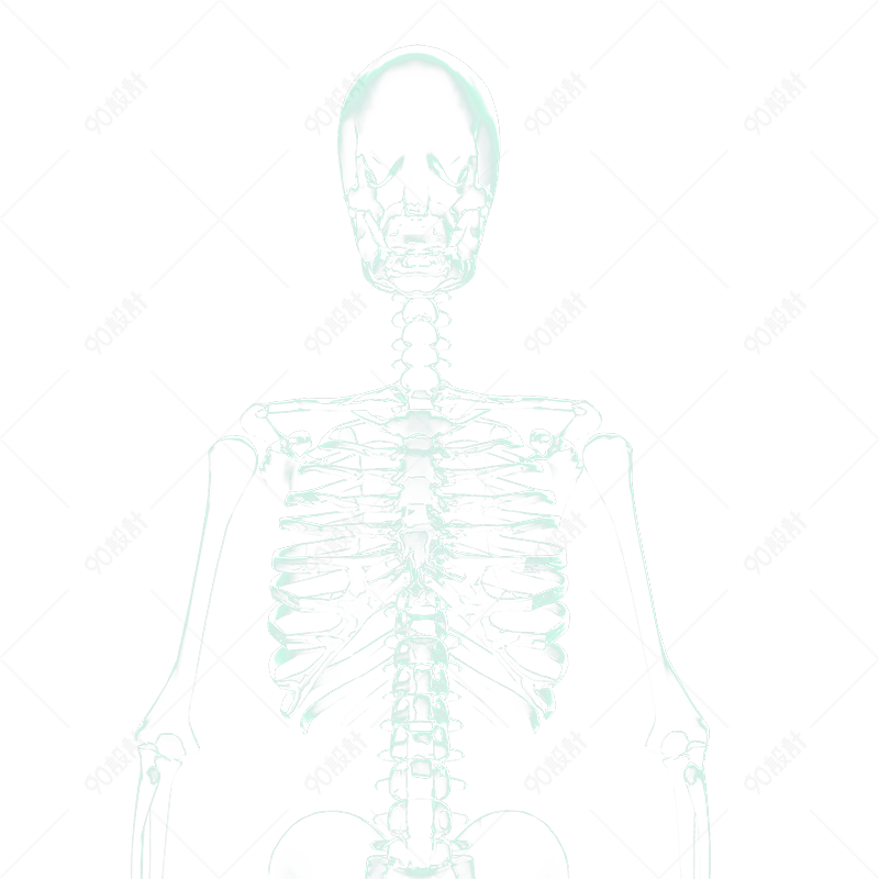 X光人体骨骼 电商元素png 90设计网 X光人体骨骼 电商元素png 90设计网