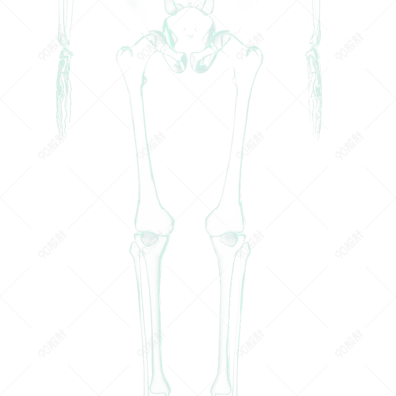 X光人体骨骼 电商元素png 90设计网 X光人体骨骼 电商元素png 90设计网