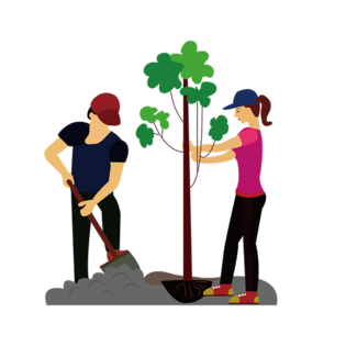 种树卡通图片大全