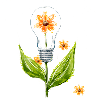 灯泡菊花