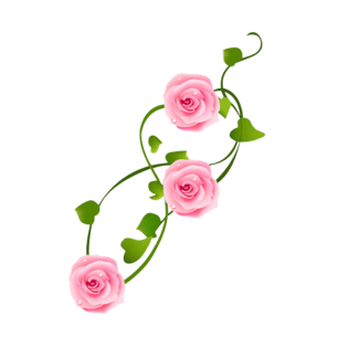 花边花纹花框鲜花