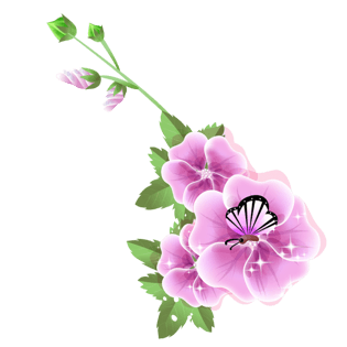 花花纹图片大全