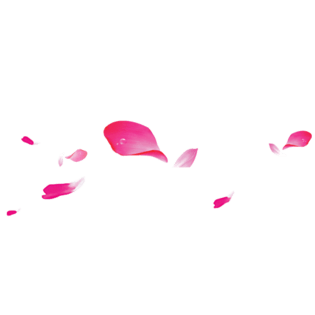 漂浮桃花花瓣图片大全