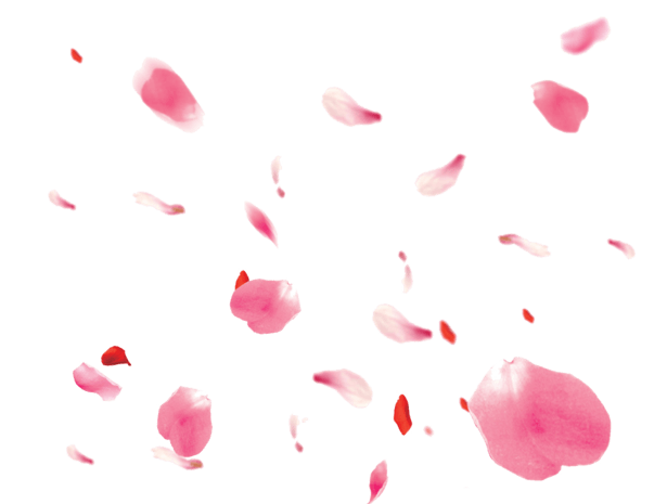 漂浮桃花花瓣图片大全