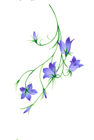 *2000花藤花纹图案插画花藤装饰花藤牵牛花藤装饰花藤唯美花藤素材