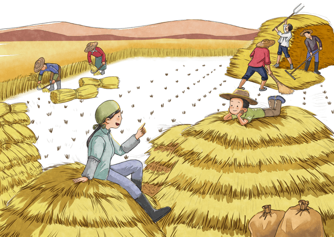 丰收季节图片大全