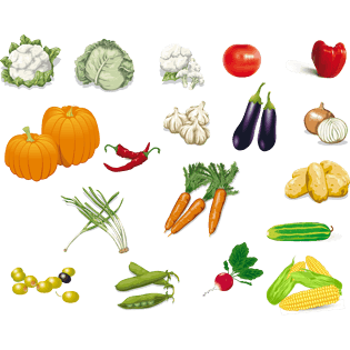 卡通玉米图片大全_卡通玉米图片素材【png免费下载】-90设计网