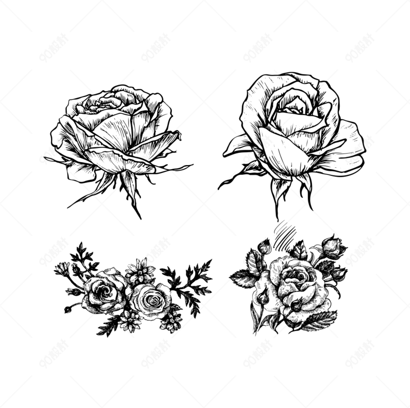 黑色手绘玫瑰