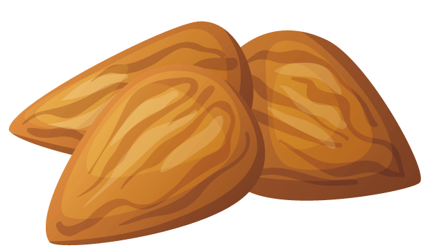 坚果卡通图片大全