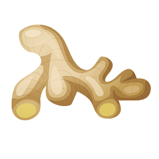 生姜矢量图片大全