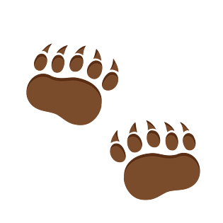 棕色熊掌印