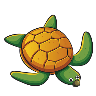 海龟图片大全