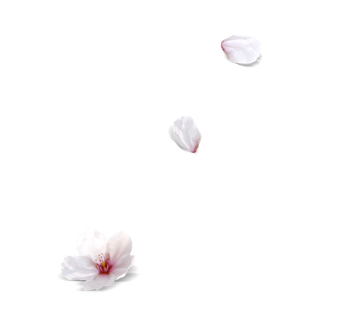 漂浮鲜花图片大全_漂浮鲜花图片素材【png免费下载】-90设计网