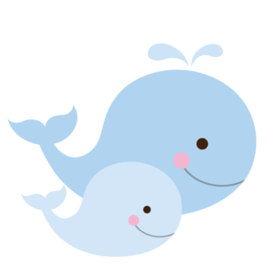 鲸鱼素材图片大全