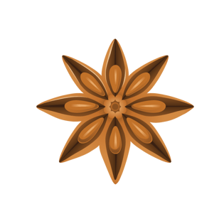 八角佐料调味料素材