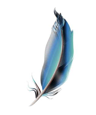 蓝色翅膀图片大全