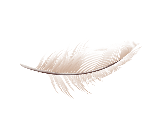 羽毛背景图片大全