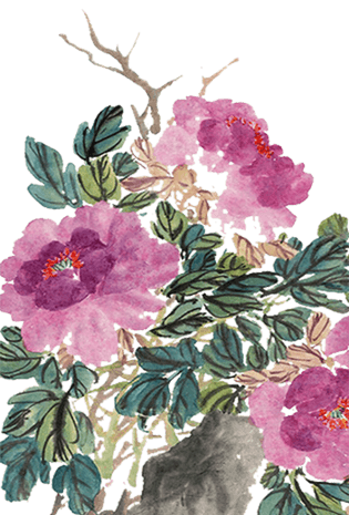 国画牡丹毛笔画pngpsd2000*2000圆形背景素材pngpsd2000*2000彩绘花