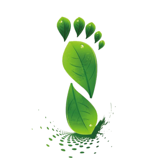 pngpsd2000*2000树叶小脚丫pngpsd2000*2000脚,脚丫pngpsd2000*2000