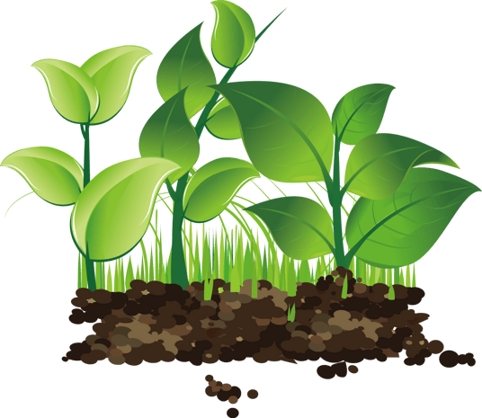 卡通绿色小草发芽图