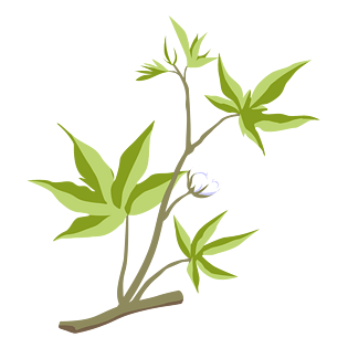 电脑端 手机端卡通植物简笔树叶装饰电脑端 手机端手绘线描柿子电脑端