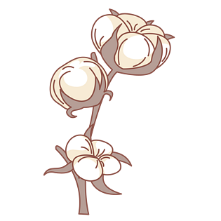手绘棉花