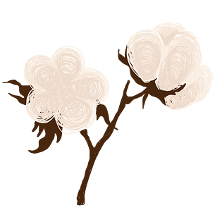 pngpsd2000*2000手绘卡通天然农场pngpsd2000*2000绿色棉花pngpsd2000