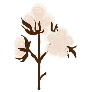 白色棉花朵pngpsd2000*2000一朵棉花pngpsd2000*2000白色棉花朵pngpsd