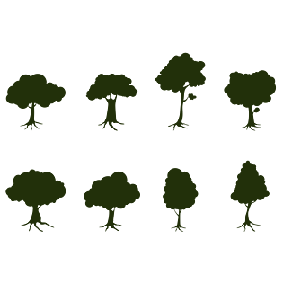 树木png素材图片大全