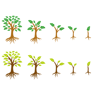 成长素材图片大全