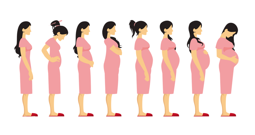 孕期变化过程图身体图片