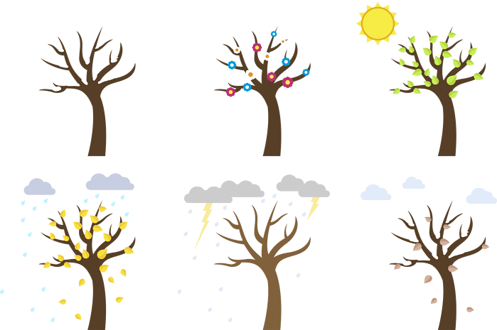 成长卡通图片大全