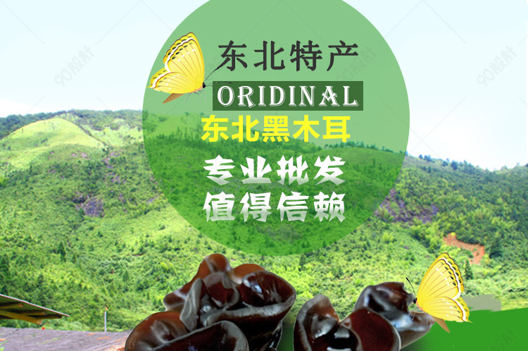 绿色清新风格东北特产美食黑木耳详情PSD模板