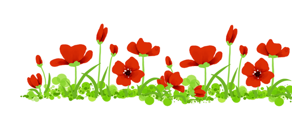 唯美可爱环保花边