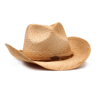 草帽 沙滩帽 帽子